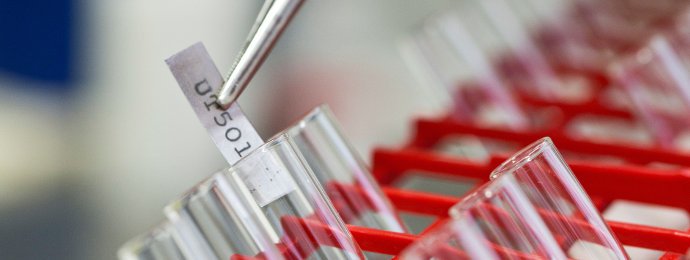 NTG24 - BASF baut Präsenz im Ausland aus
