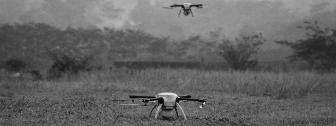 Swarmers Software begeistert die Anleger  - Newsbeitrag