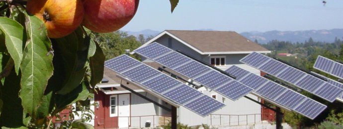 SolarEdge schreibt erneut Verluste und stellt die Geduld der Anleger auf eine harte Probe - Newsbeitrag