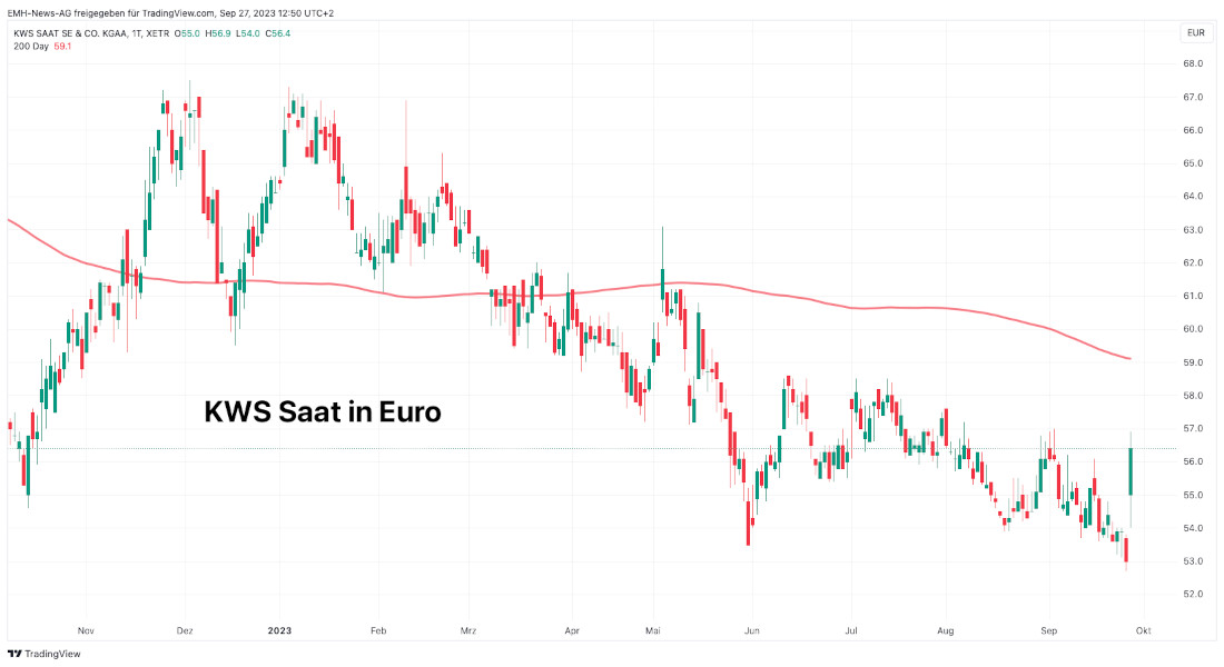 KWS SAAT SE & Co. KGaA