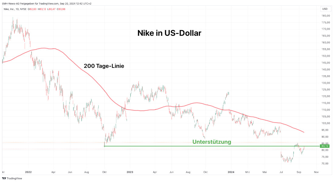 Nike Inc. 